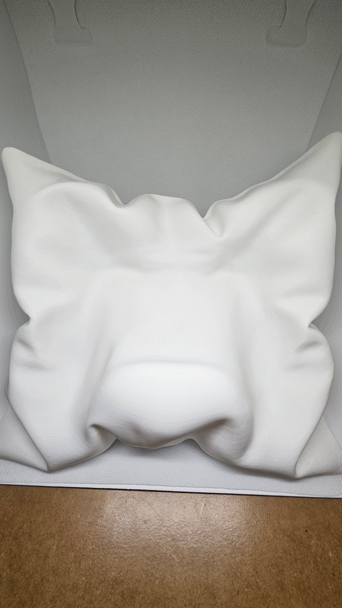 Minimalist Controller Pillow - PS5 Edition