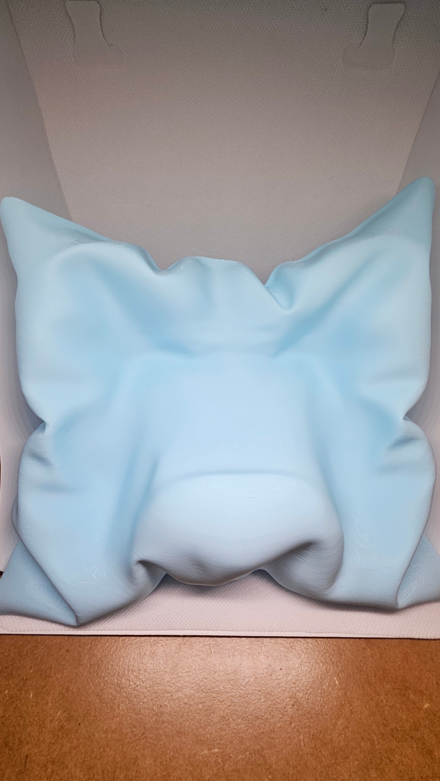 Minimalist Controller Pillow - PS5 Edition